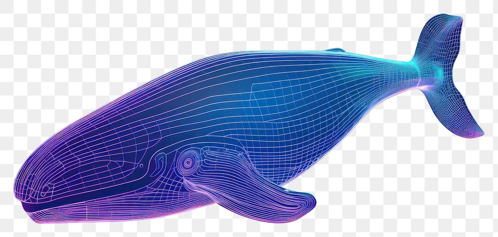 PNG  Neon whale wireframe animal fish underwater.