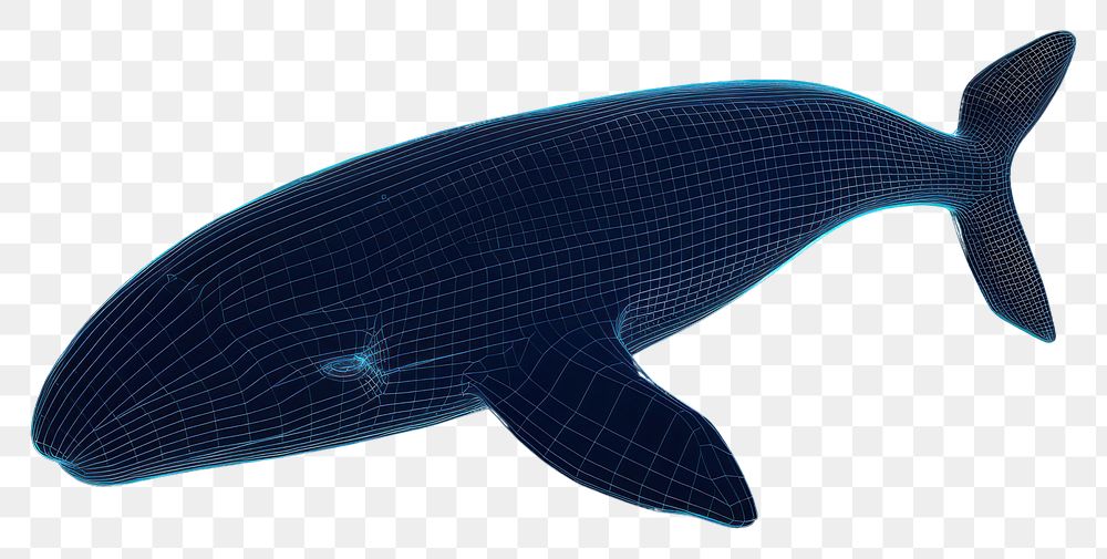PNG  Neon whale wireframe animal shark fish.