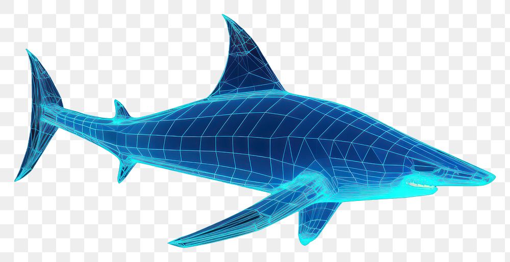 PNG  Neon shark wireframe animal fish underwater.