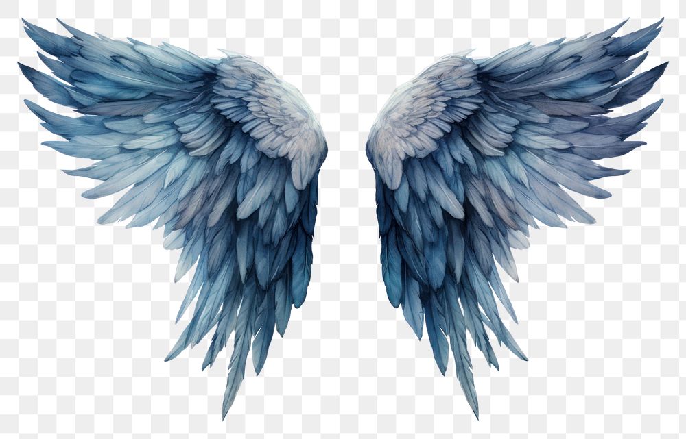 PNG Angel wings blue bird white background.