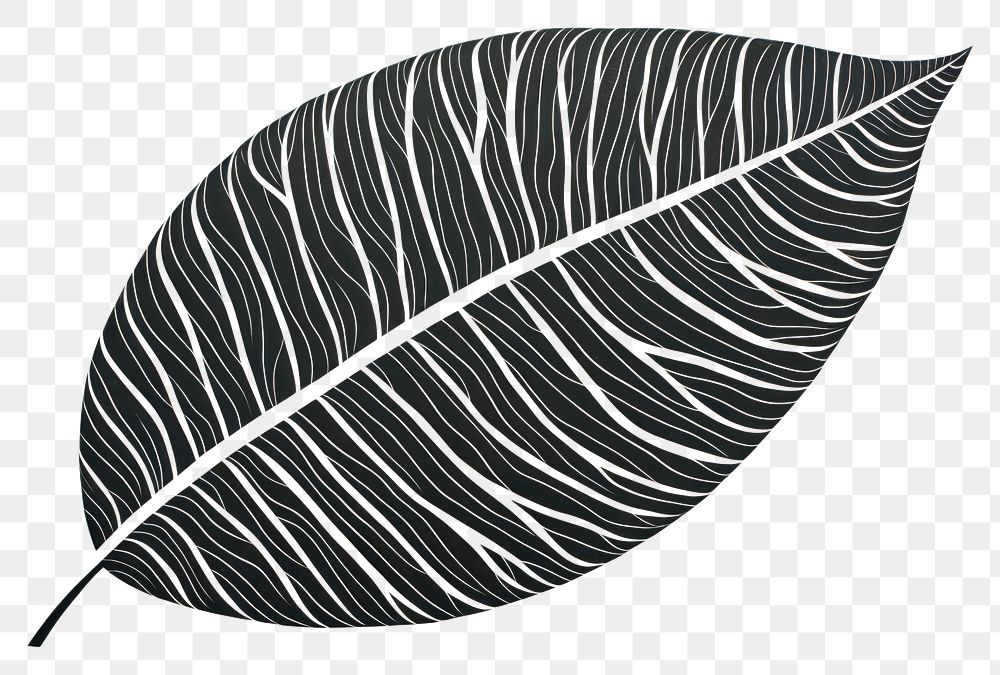 PNG Leaf drawing plant accessories.