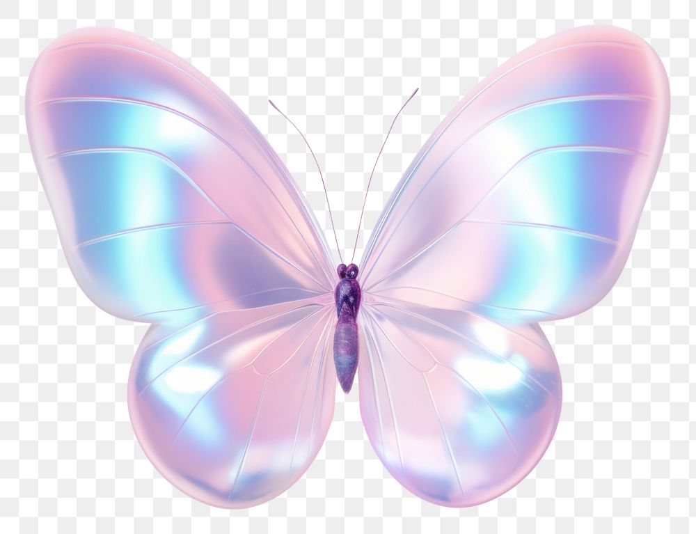 PNG Butterfly animal white background accessories.
