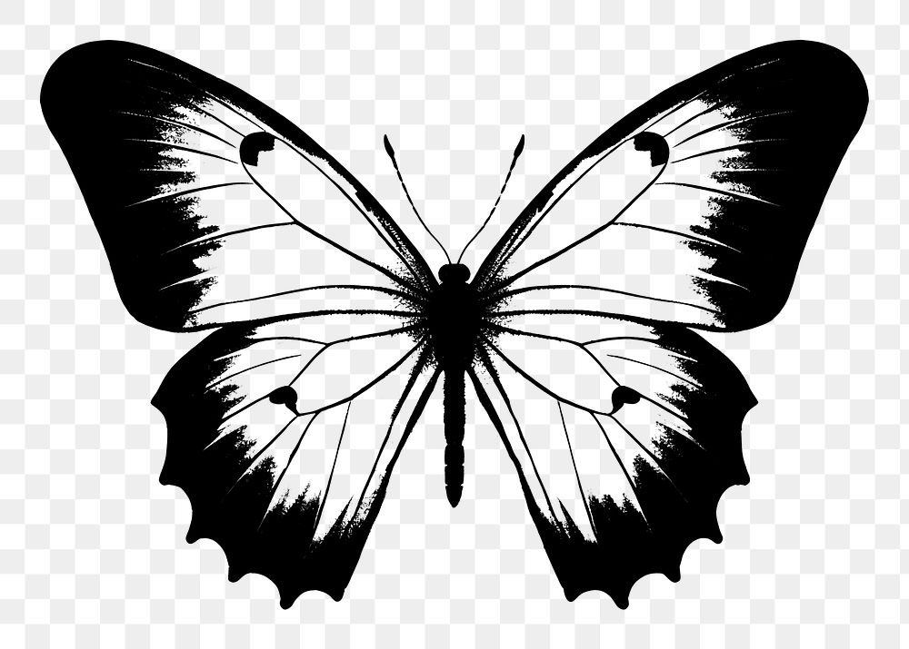 PNG Butterfly animal white monochrome.