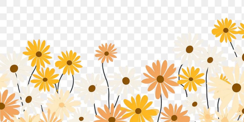PNG Daisies backgrounds pattern flower.