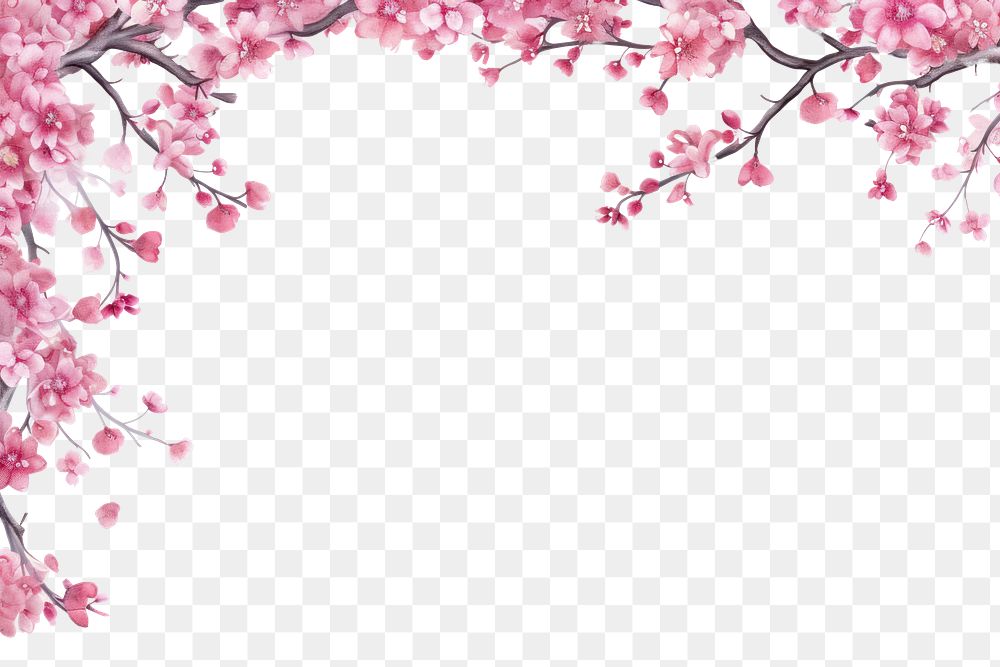 PNG  Blossom backgrounds outdoors flower.