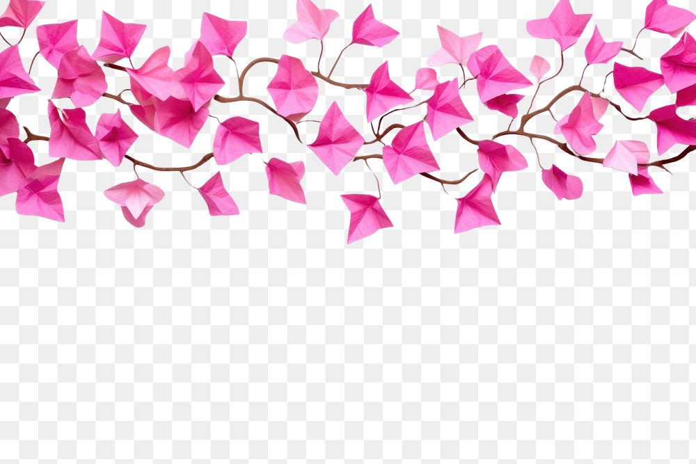 PNG Bougainvillea floral border flower paper backgrounds.