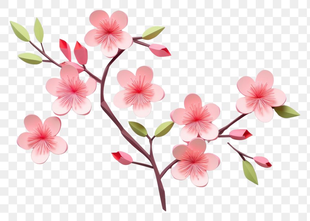 PNG Cherry blossom flower petal plant.