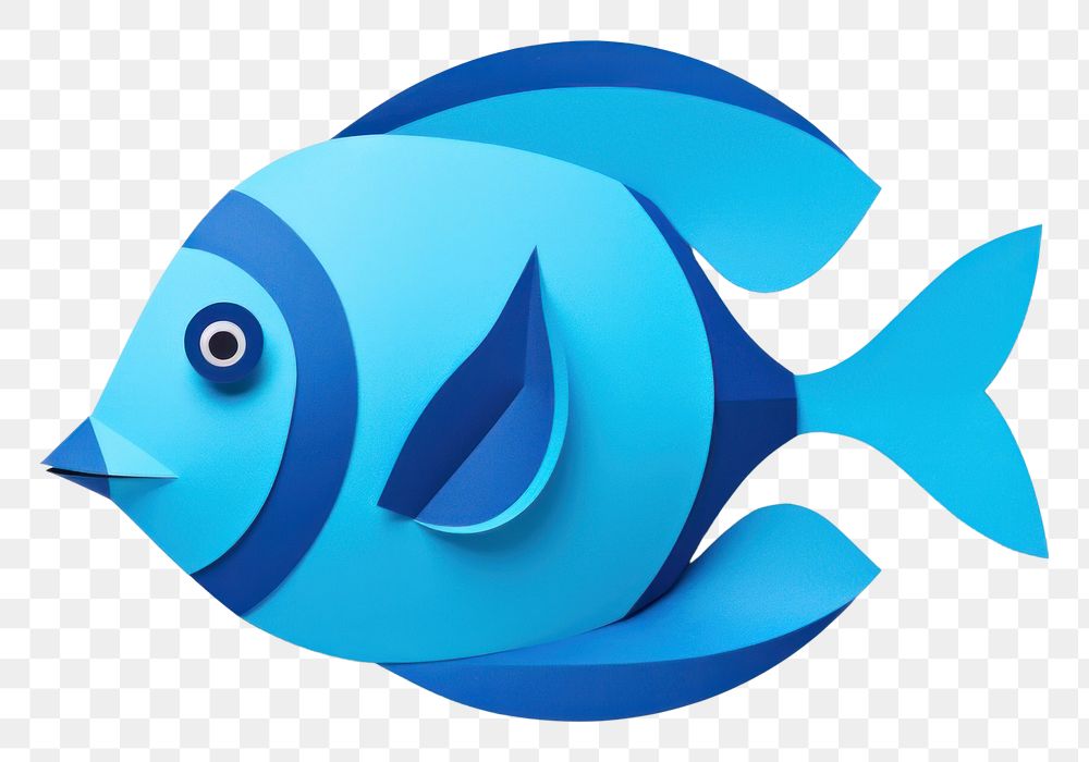 PNG Blue tang animal fish surgeonfish.