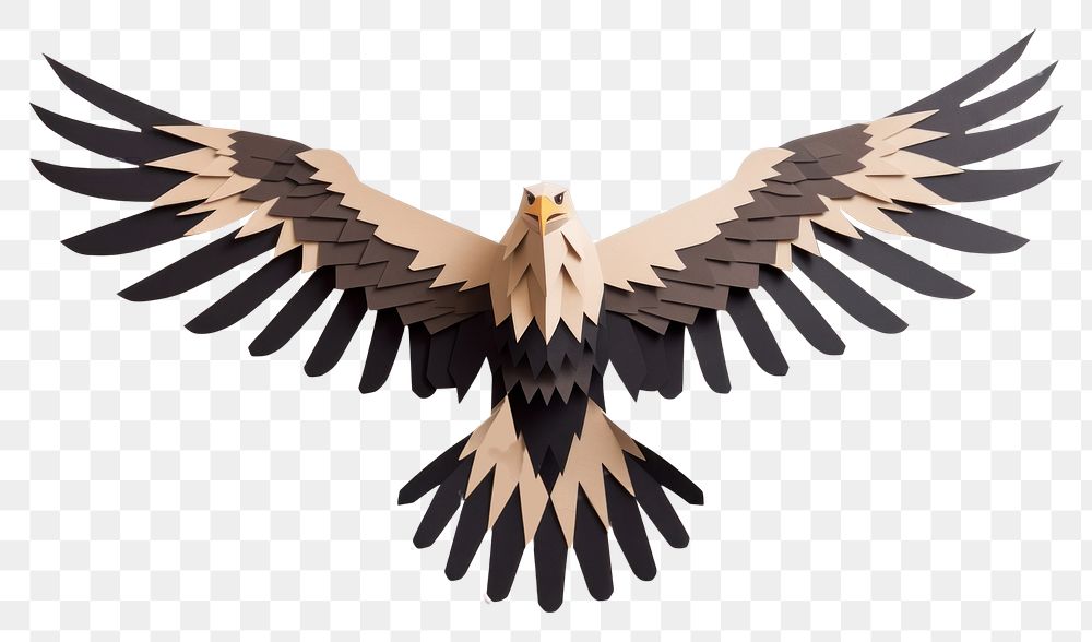 PNG Illustration of a eagle vulture animal flying.