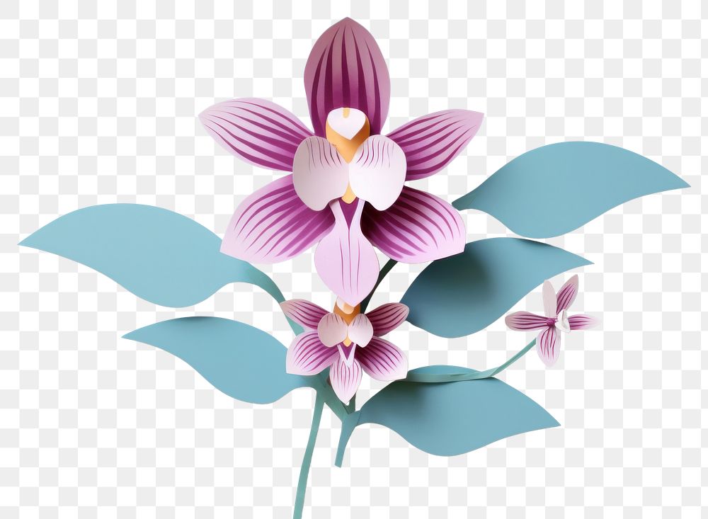PNG Orchid orchid art flower.
