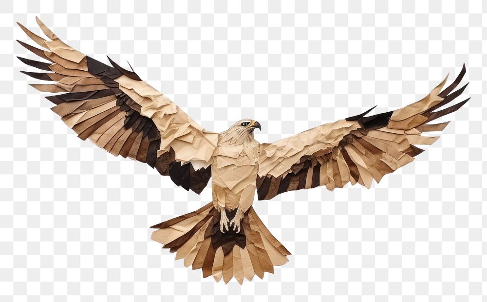 PNG Buzzard vulture animal flying.