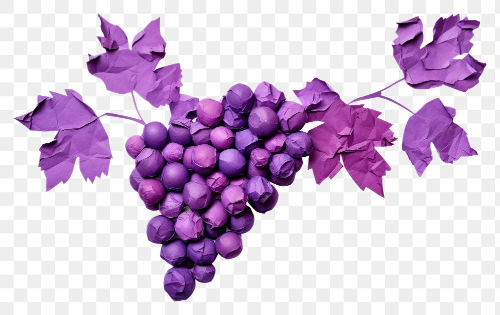 PNG Grapes plant fruit vine.