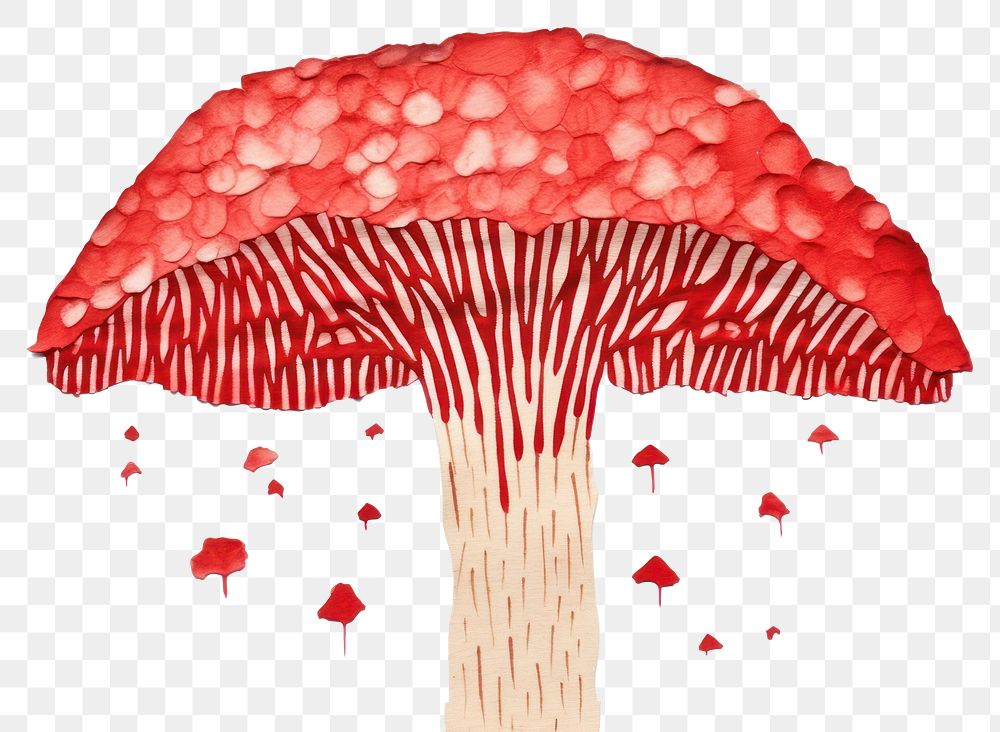 PNG Mushroom fungus plant toadstool.