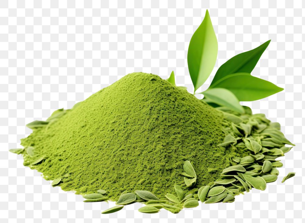 PNG Plant leaf tea ingredient.