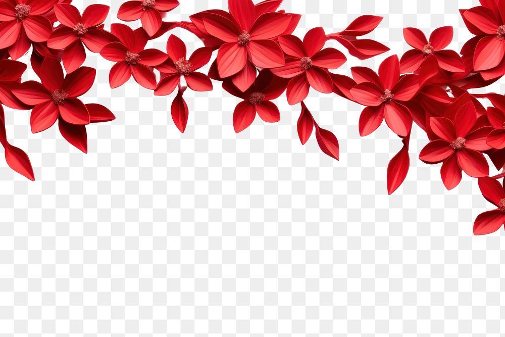 PNG Red flower floral border backgrounds petal plant.