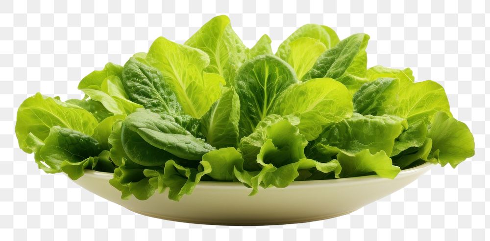 PNG  Green Salad vegetable lettuce salad.