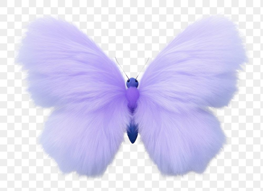PNG Flying butterfly animal insect white background.