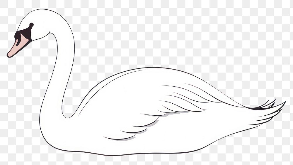 PNG Swan cartoon animal goose.