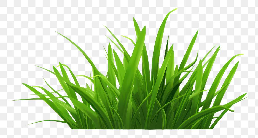 PNG Grass green plant leaf