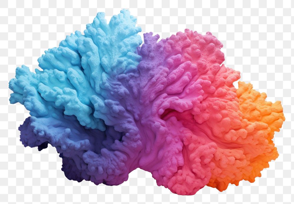 PNG Colorful plaster coral white background undersea outdoors.