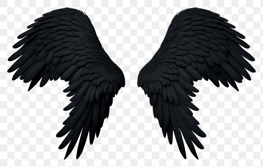 PNG Wings black bird white background.