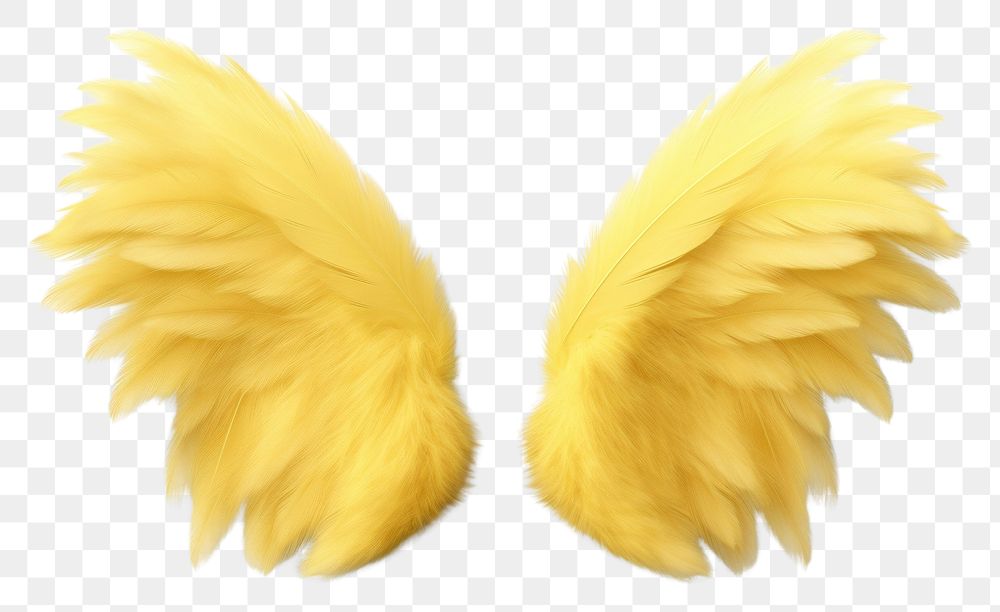 PNG Wings yellow angel white background.