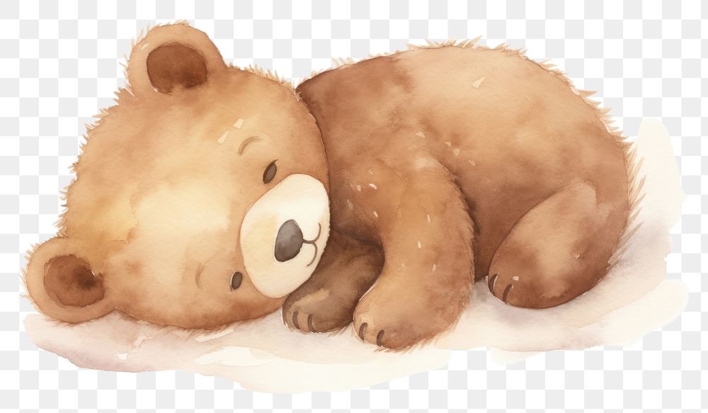 PNG  Teddy bear mammal cute white background.