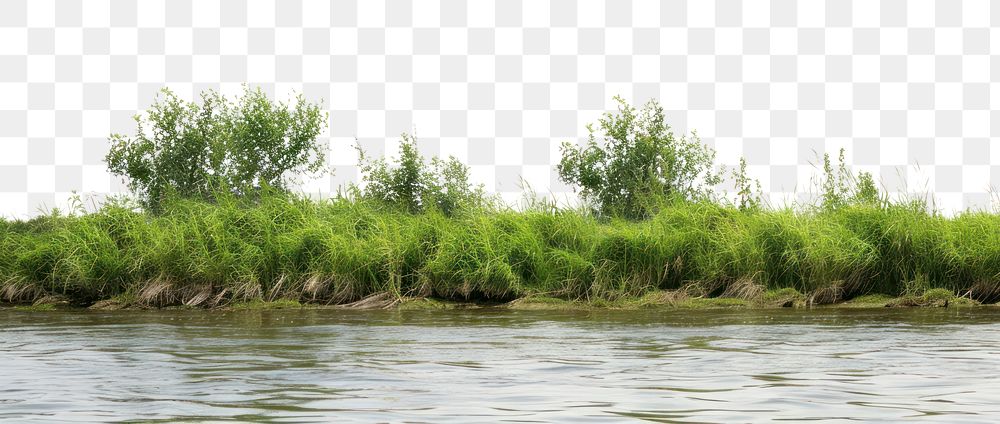 PNG River bank landscape nature outdoors.