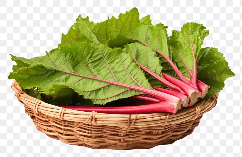 PNG  Rhubarb on basket vegetable plant food.