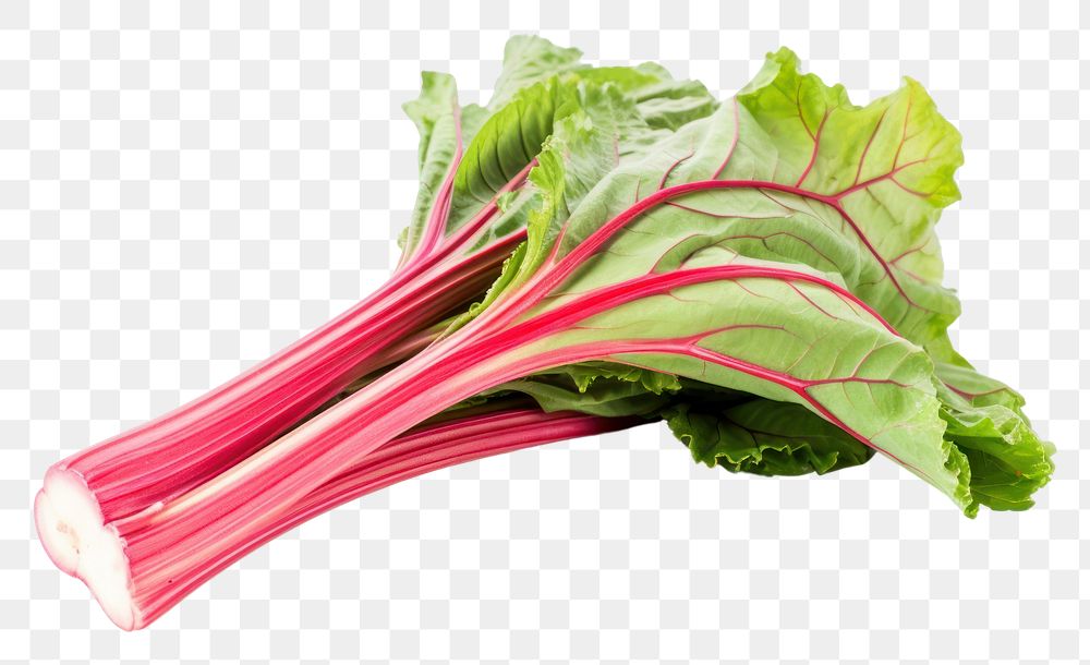 PNG  Rhubarb vegetable plant food.