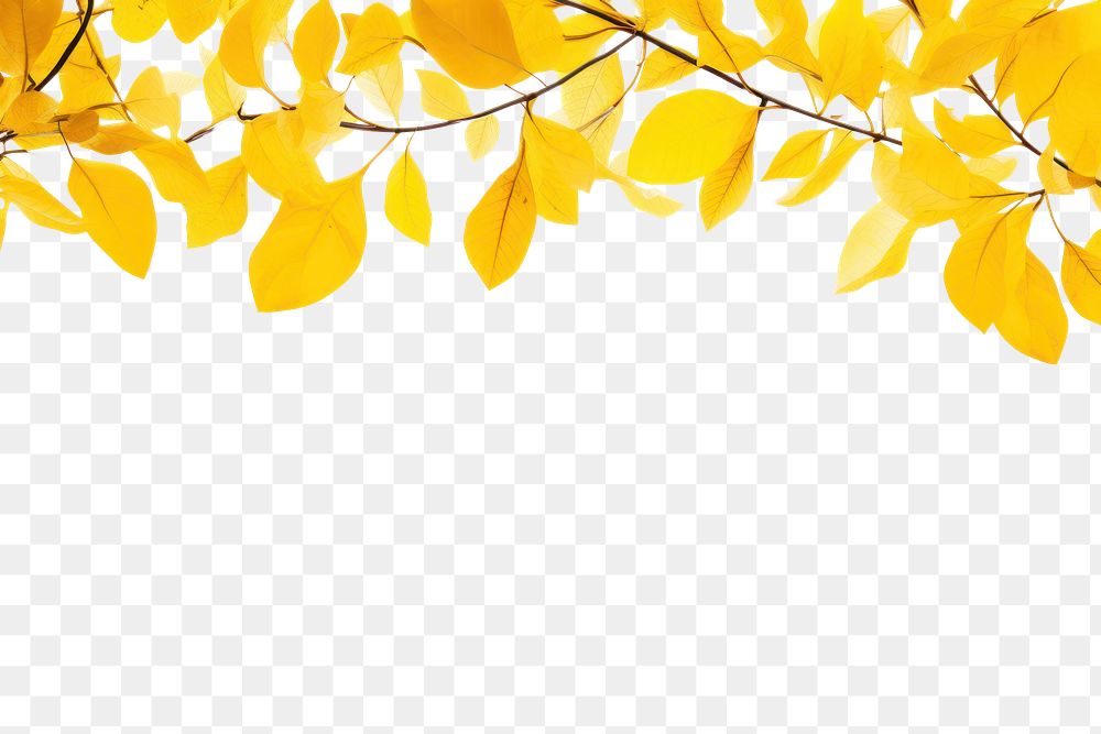 PNG Yellow leaf backgrounds outdoors nature.