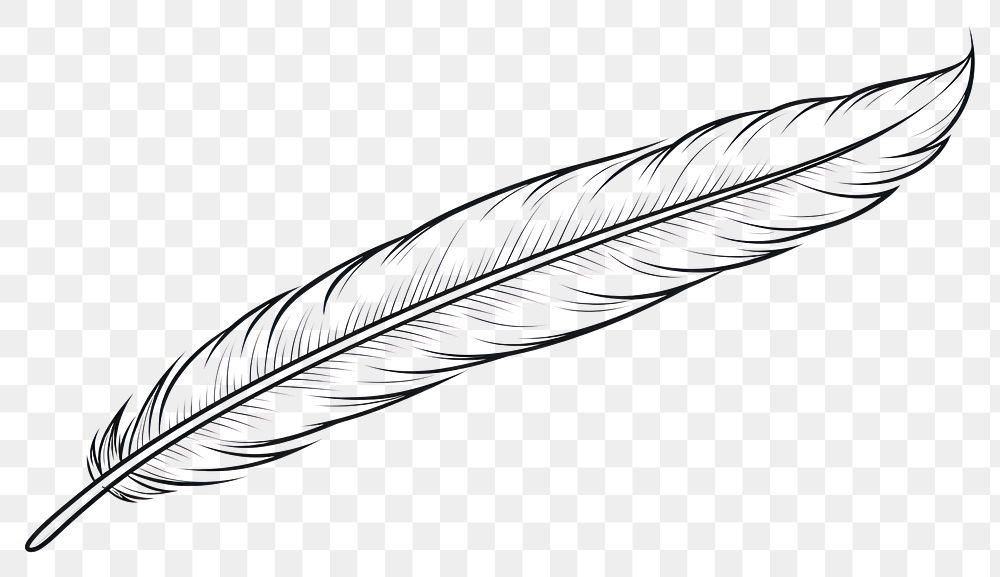 PNG Feather outline sketch drawing white lightweight.