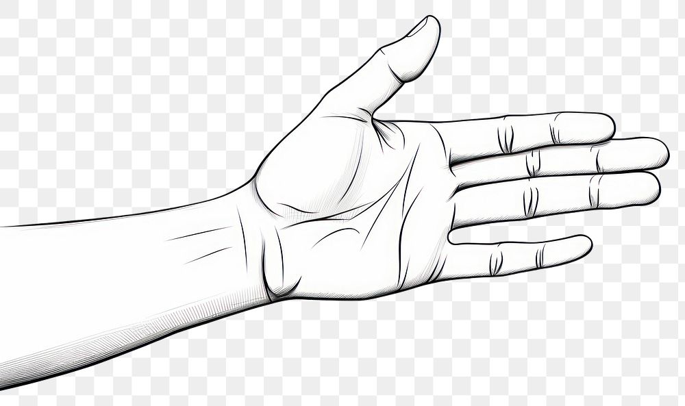 PNG Hand outline sketch drawing finger white.