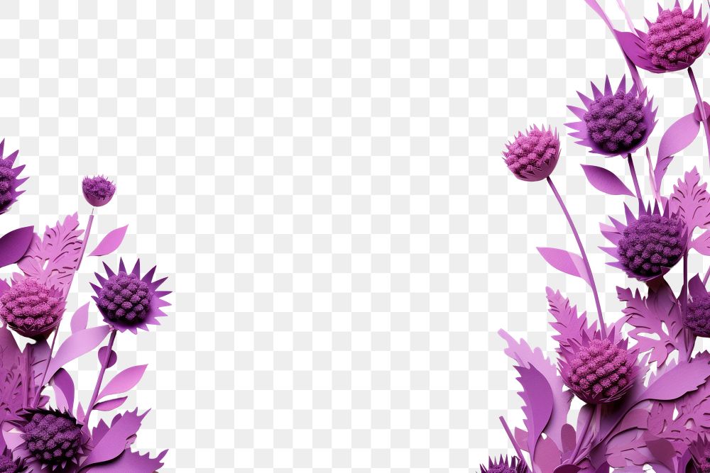 PNG Thistle floral border backgrounds pattern flower.