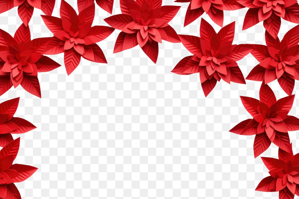 PNG Poinsettia floral border paper backgrounds flower.
