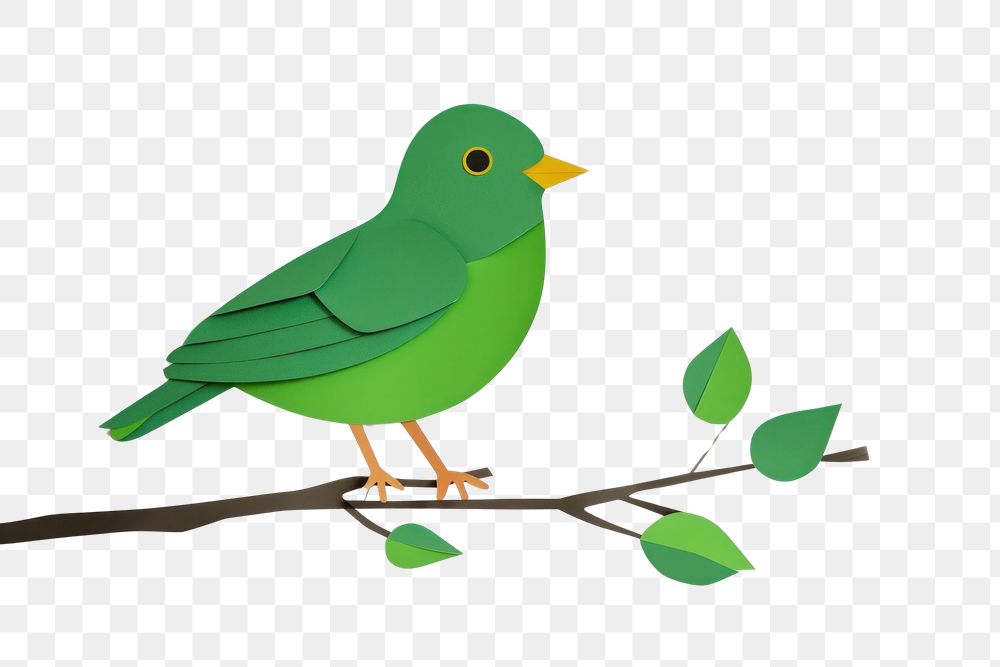PNG Bird green minimal animal plant beak.