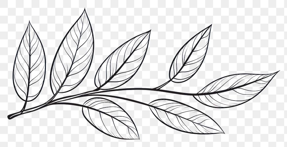 PNG Leaf sketch leaf pattern.