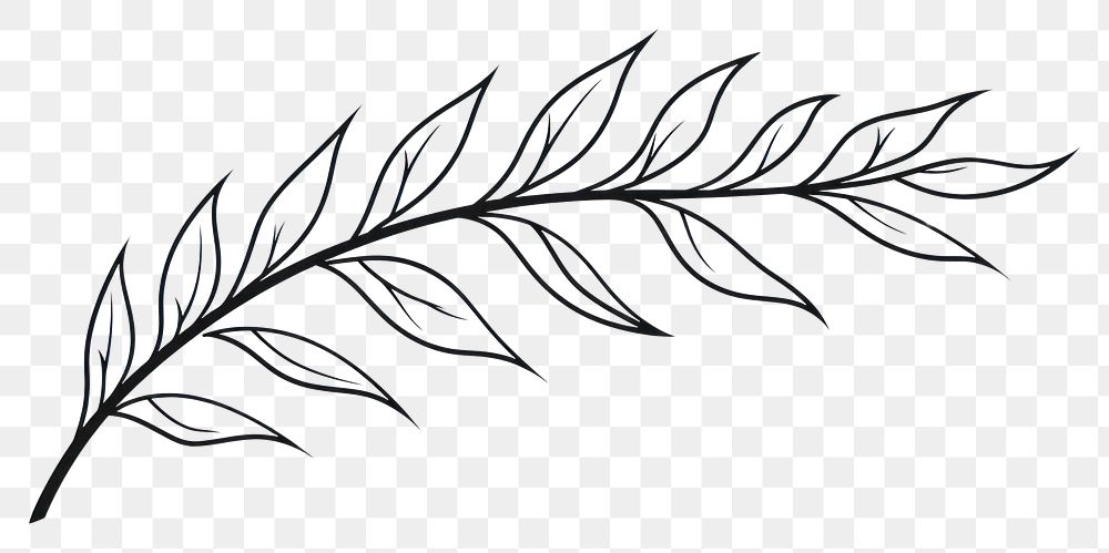 PNG Leaf sketch leaf pattern.