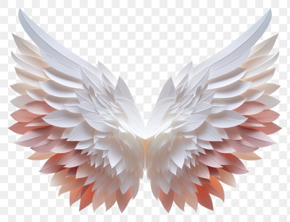 PNG Wings white paper white background.