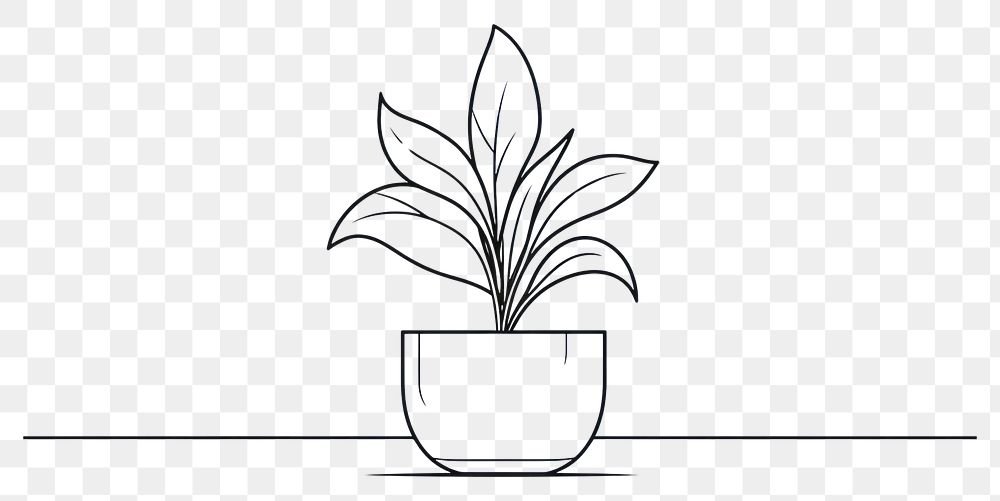 PNG Plant sketch plant drawing.