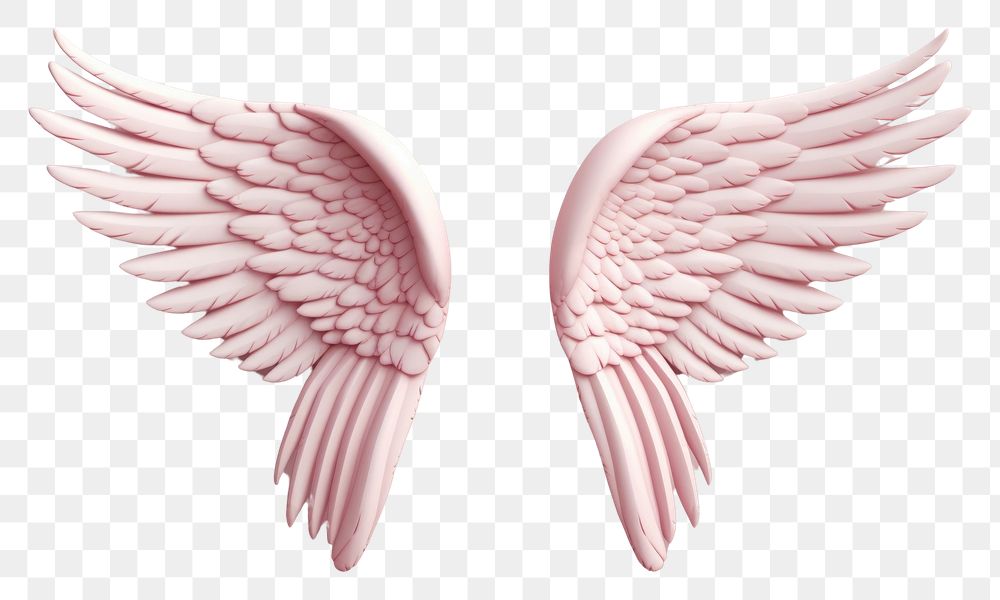 PNG Angel wings archangel softness feather.