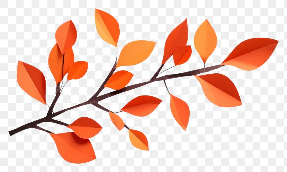 PNG Orange leave branch plant paper leaf.