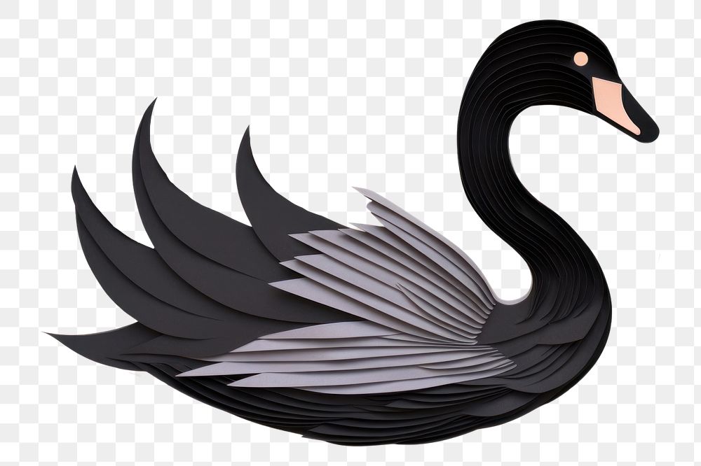 PNG Black swan animal bird art.
