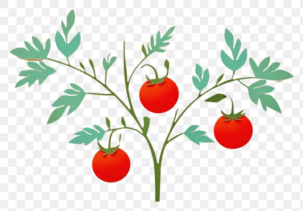 PNG Tomato branch vegetable fruit plant.