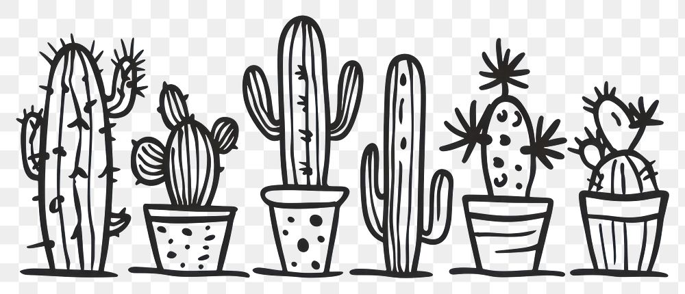 PNG Cactus drawing sketch doodle.