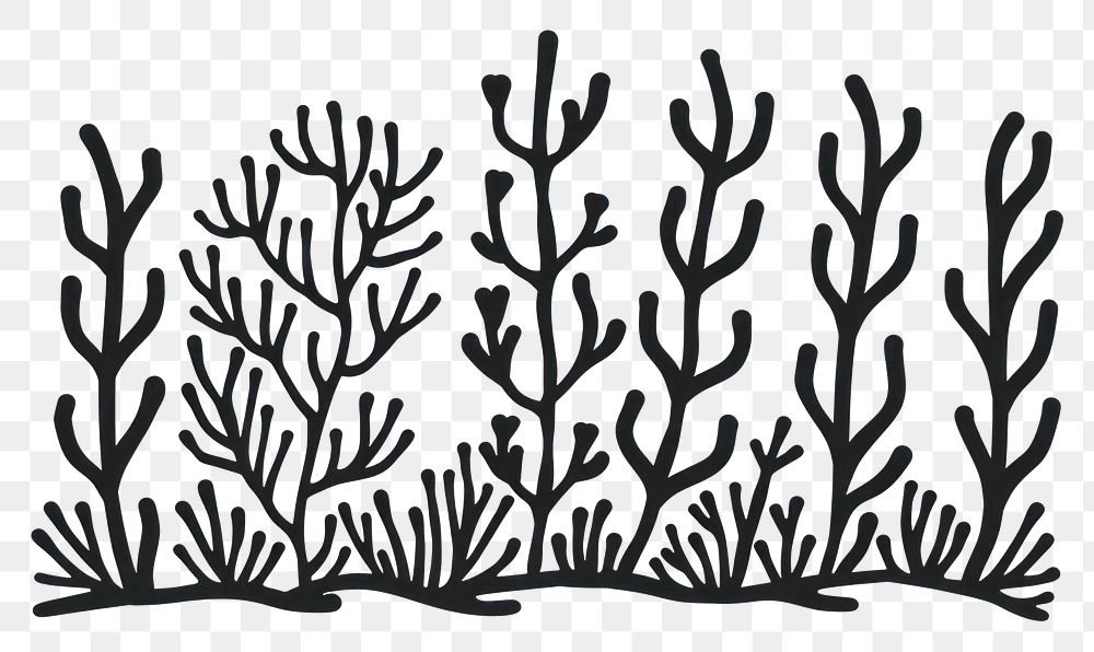 PNG Divider doodle of coral drawing sketch line.