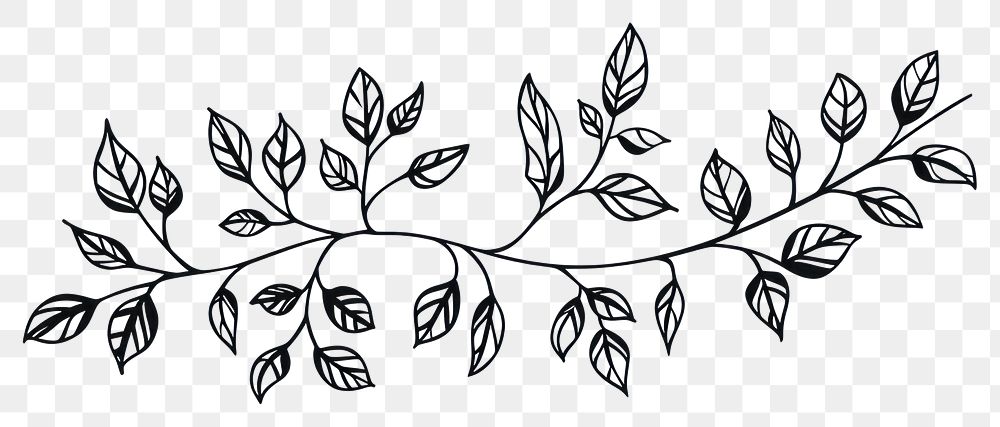 PNG Divider doodle of branch pattern drawing sketch.