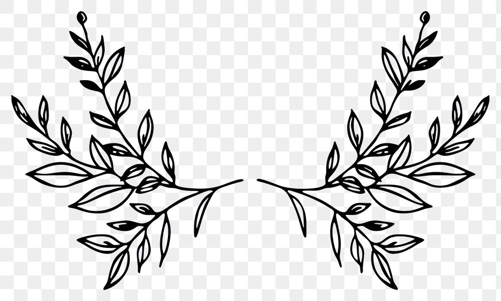 PNG Divider doodle of wreath pattern drawing sketch