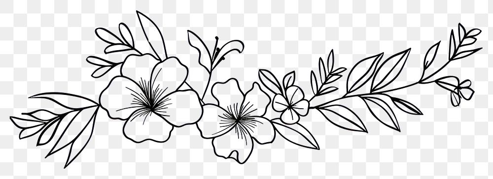 PNG Divider doodle of tropical flower pattern drawing sketch.
