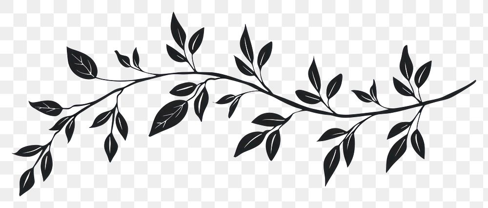PNG Divider doodle of branch pattern plant line.